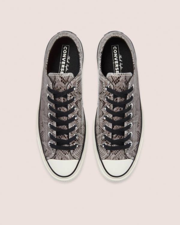 Zapatillas Bajas Converse Chuck 70 Reptile Suede Gris | CV-260UHV