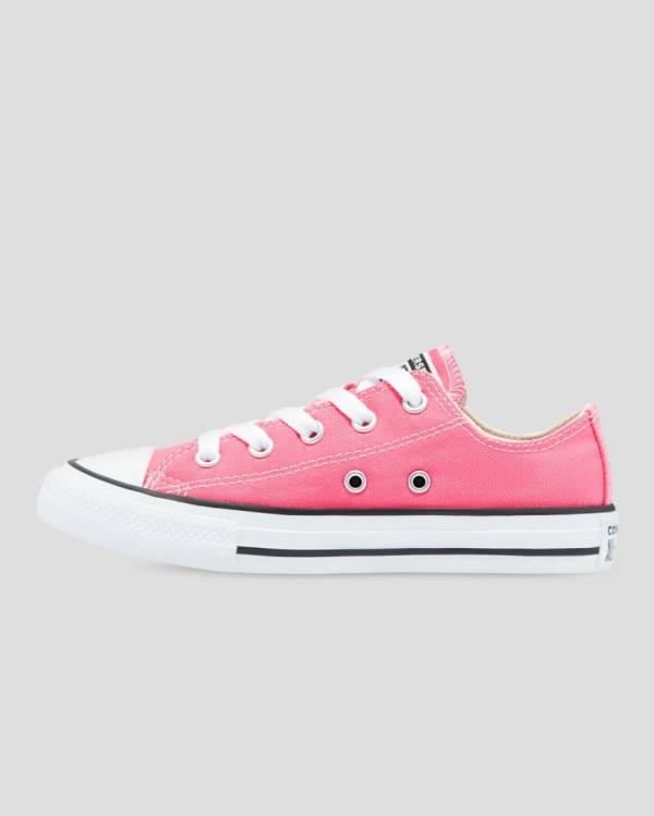 Zapatillas Bajas Converse Chuck Taylor All Star Seasonal Colour Rosas | CV-153XQW