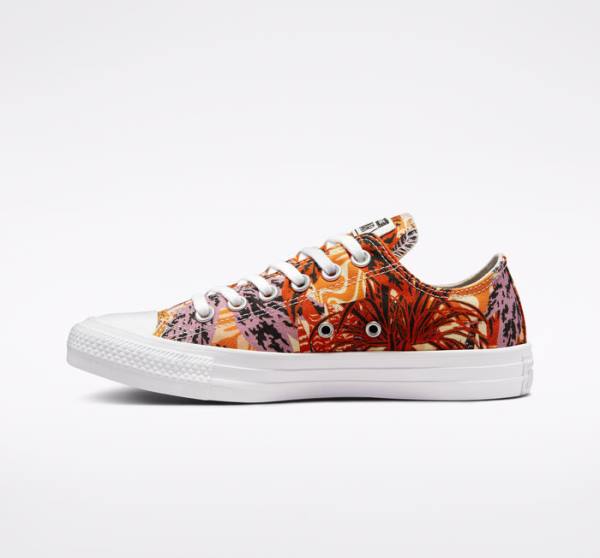 Zapatillas Bajas Converse Chuck Taylor All Star Tropical Florals Naranjas Negras Blancas | CV-527KPD