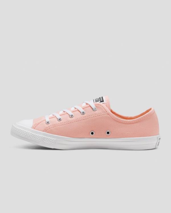 Zapatillas Bajas Converse Chuck Taylor All Star Dainty Seasonal Colour Rosas | CV-719VMH