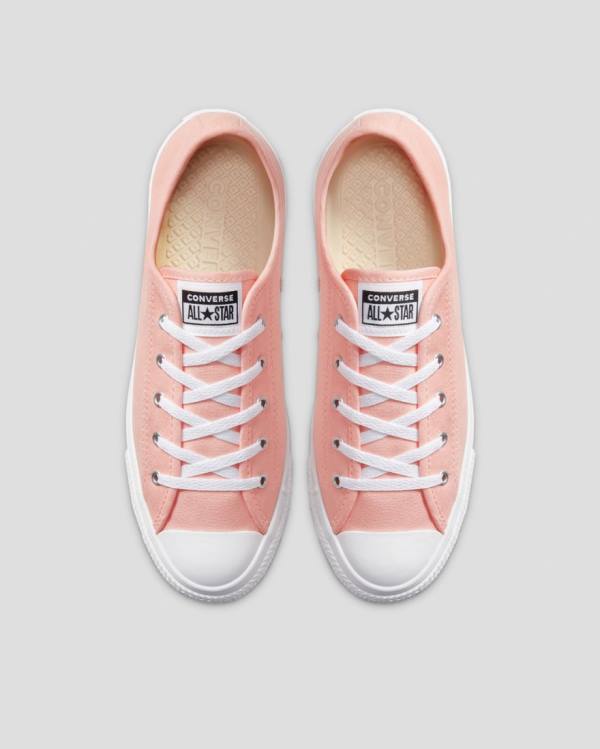 Zapatillas Bajas Converse Chuck Taylor All Star Dainty Seasonal Colour Rosas | CV-719VMH